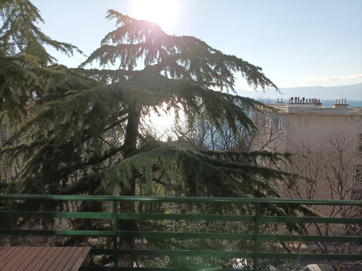 Apartman Pecine Rijeka Exteriör bild